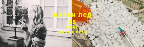 хмурый Белокуриха