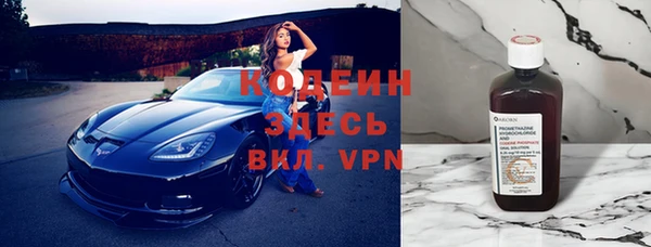 хмурый Белокуриха
