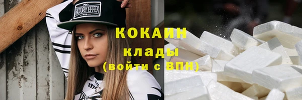 хмурый Белокуриха