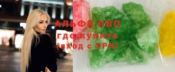 хмурый Белокуриха