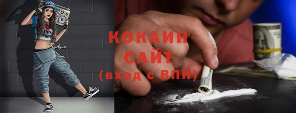 хмурый Белокуриха