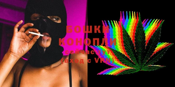 хмурый Белокуриха