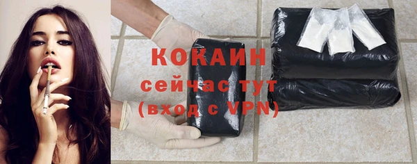 хмурый Белокуриха